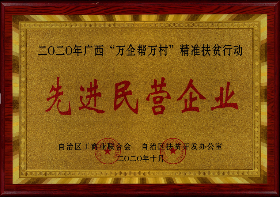 2020年廣西萬(wàn)企幫萬(wàn)村精準(zhǔn)扶貧行動(dòng)先進(jìn)民營(yíng)企業(yè).png